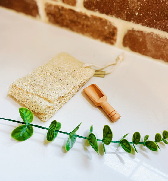 Soap Exfoliator